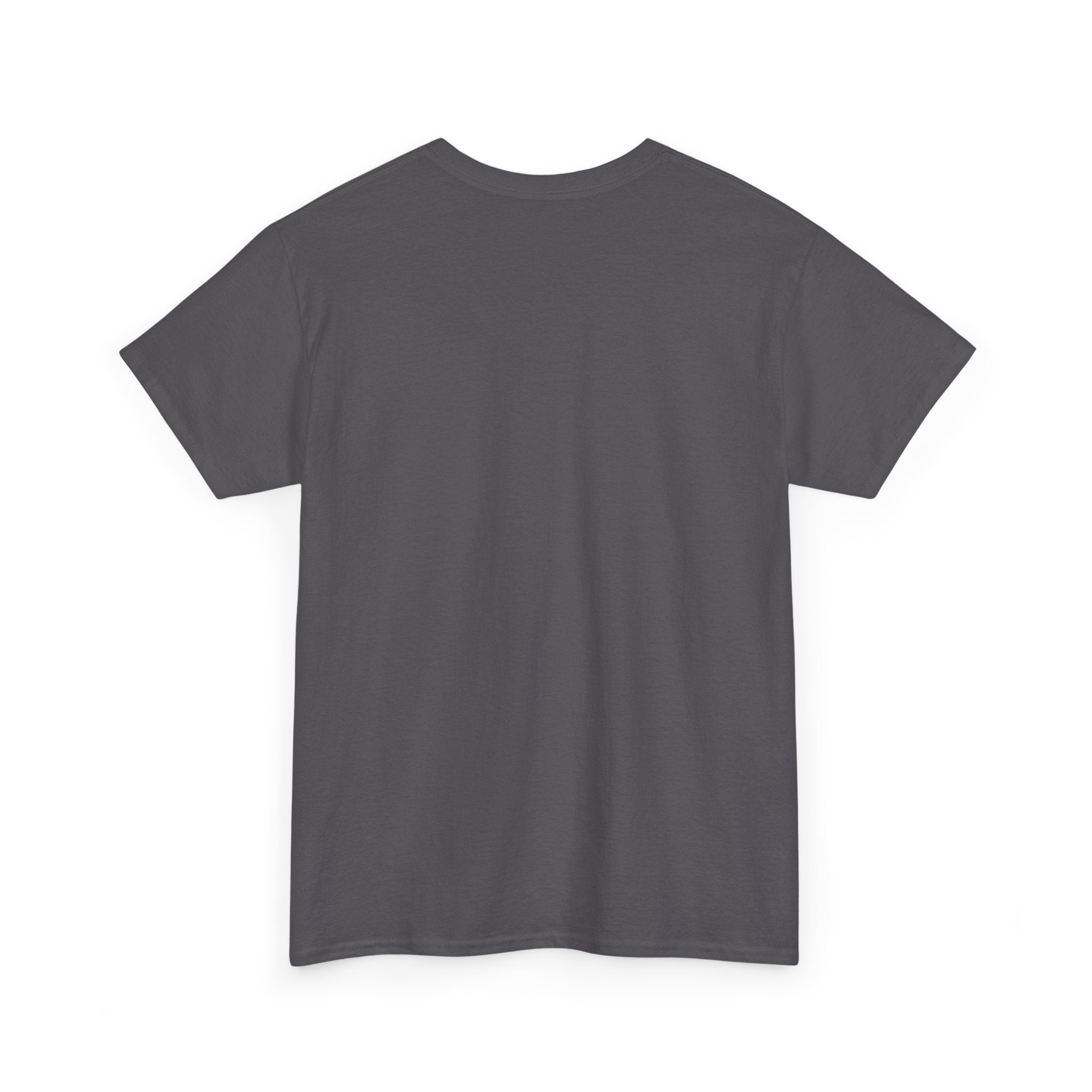 Night Owl T-Shirt — Silhouette Owl on Branch Graphic Tee