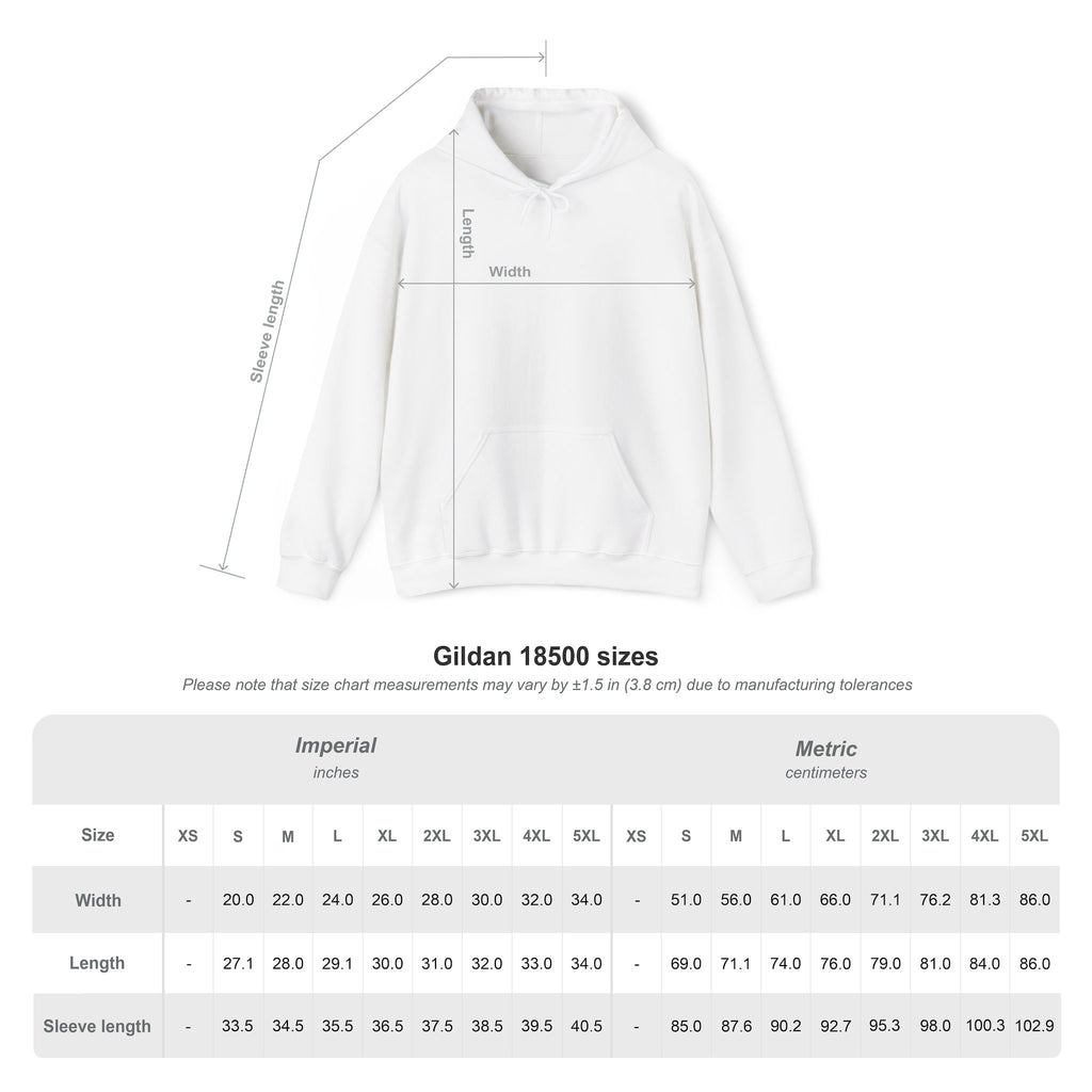 Energy Don’t Lie™ Hoodie — Truth Over Talk Statement Pullover  Spiritual + Street